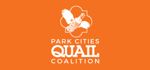 Park Cities Quail